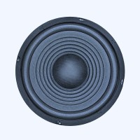 PAWER ÇIPLAK HOPARLÖR 20 CM 8 OHM LASTİKLİ PW-200-1