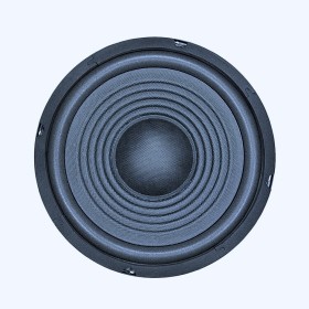 PAWER ÇIPLAK HOPARLÖR 20 CM 8 OHM LASTİKLİ PW-200-1