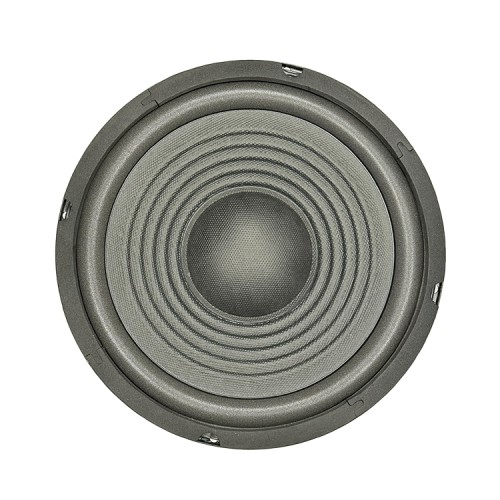 PAWER ÇIPLAK HOPARLÖR 20 CM 8 OHM LASTİKLİ PW-200-1