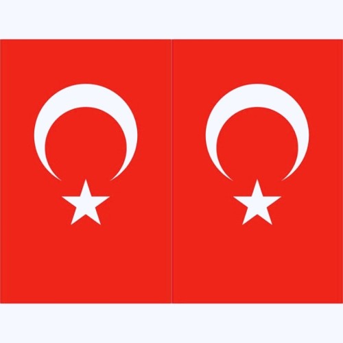 Minber Perdesi Bayrak Desenli Üst Bölge 2'li  Storsuz