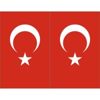 Minber Perdesi Bayrak Desenli Üst Bölge 2'li  Storsuz