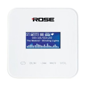 Rose RWT-100 4x25 Watt Duvar Anfi  Mp3, Bluetooth, SD Kart FM Radyo 100 Watt Kumandalı