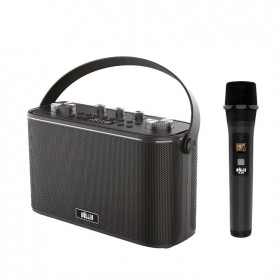 Wöller W-612E 150 Watt Kablosuz El Mikrofonlu USB-Micro SD-Bluetooth, Kayıtlı, Şarjlı Taşınabilir Amfi