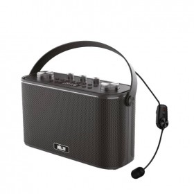 Wöller W-612H 150 Watt Kablosuz Headset Mikrofonlu USB-Micro SD-Bluetooth, Kayıtlı, Şarjlı Taşınabilir Amfi